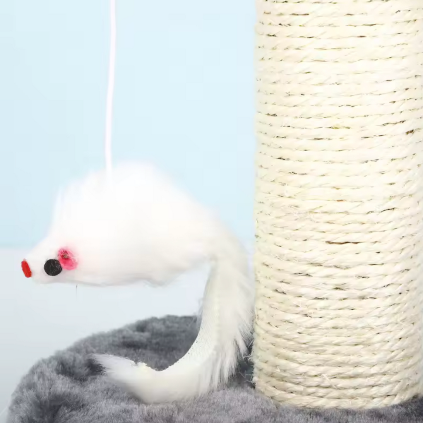 Arbre a chat