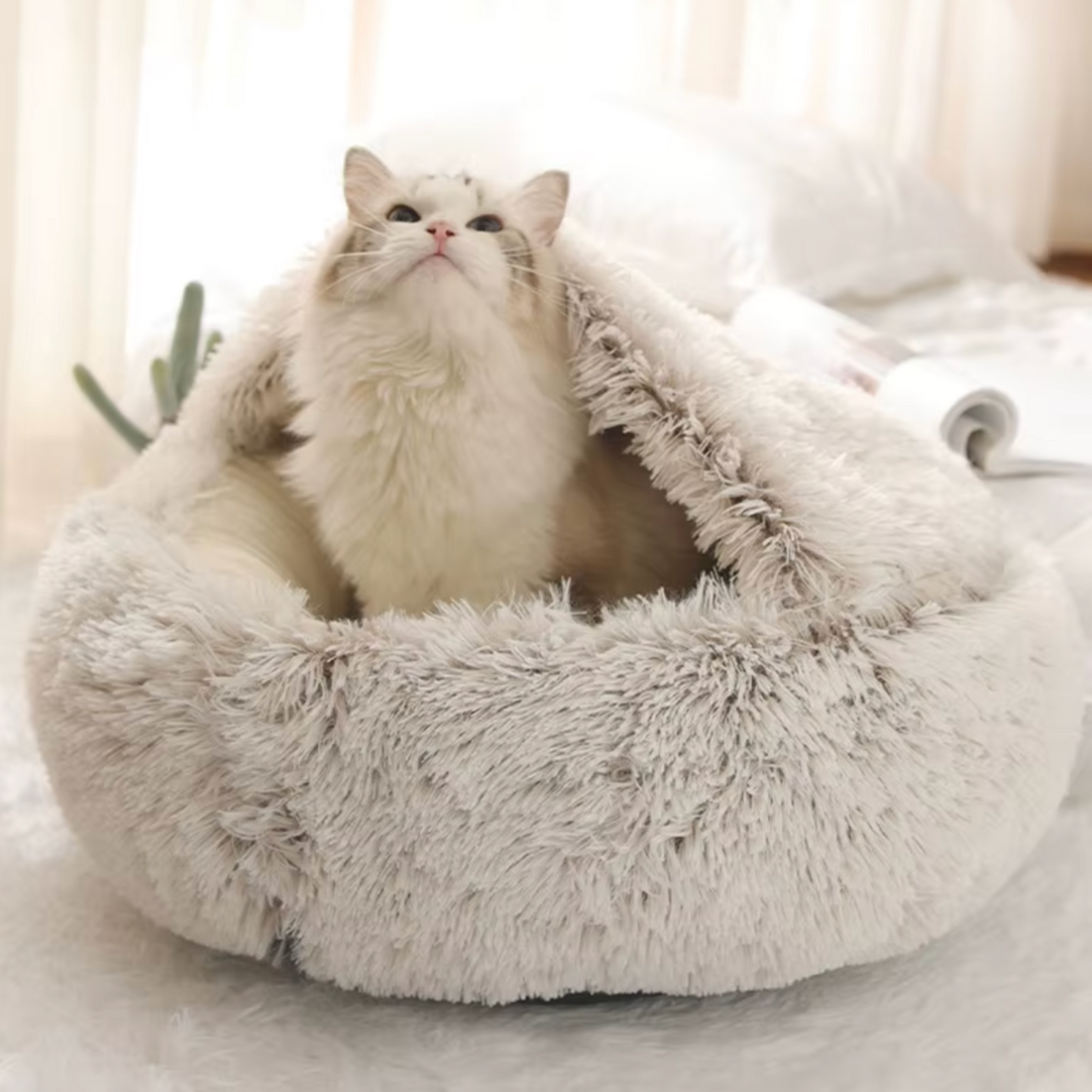 Panier chat
