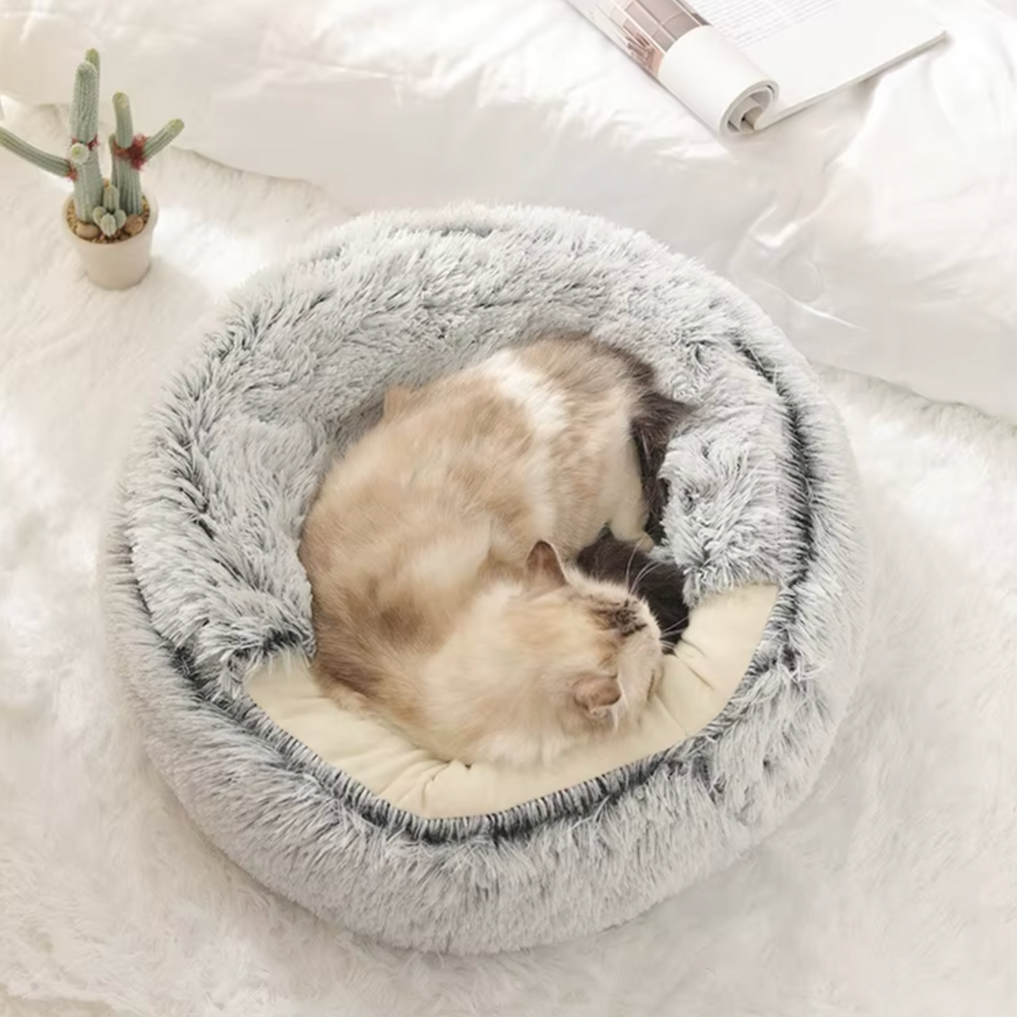 Panier chat