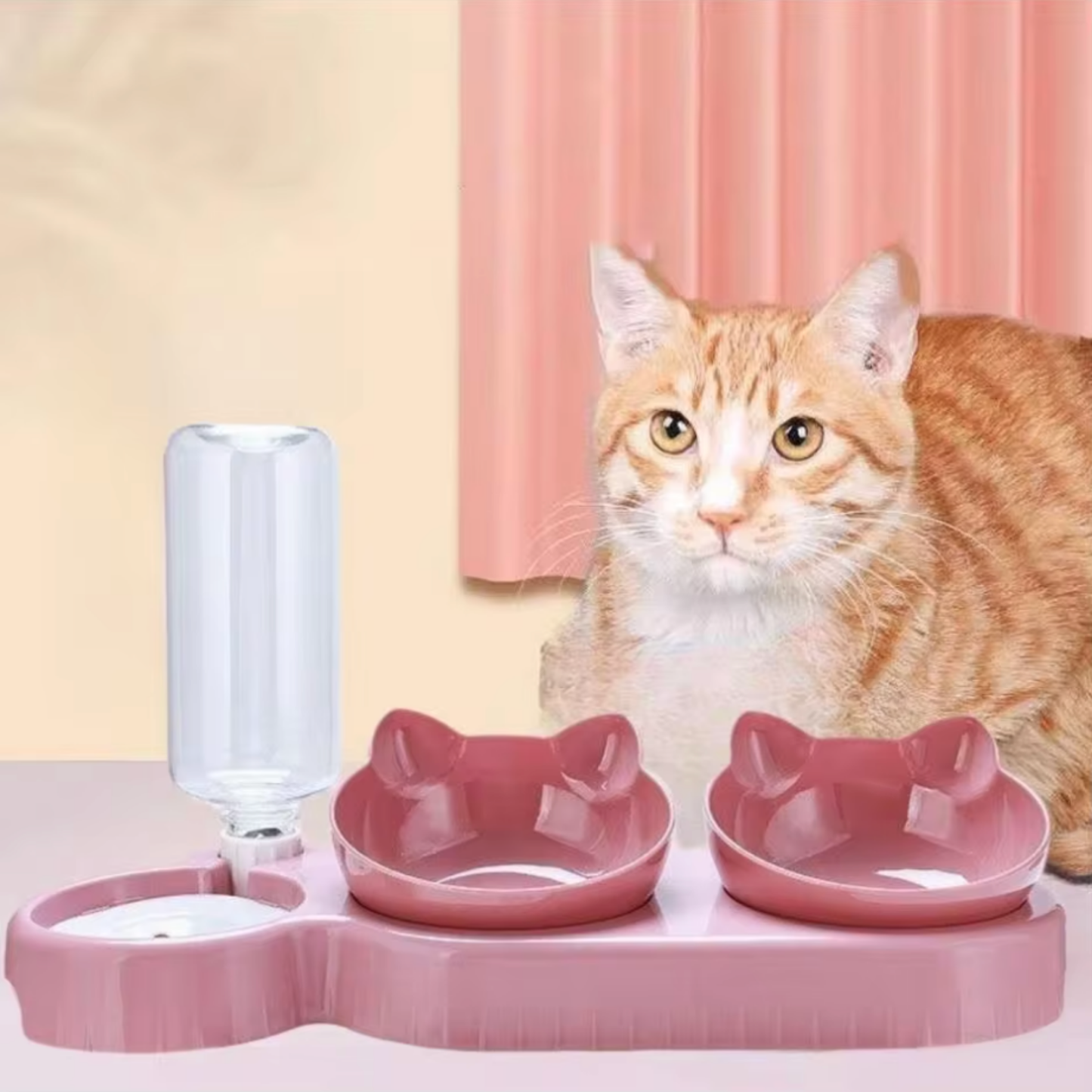 Gamelle chat
