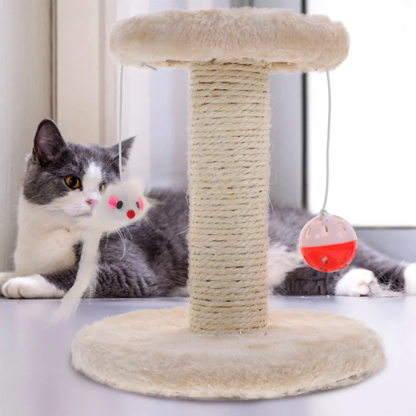Arbre a chat