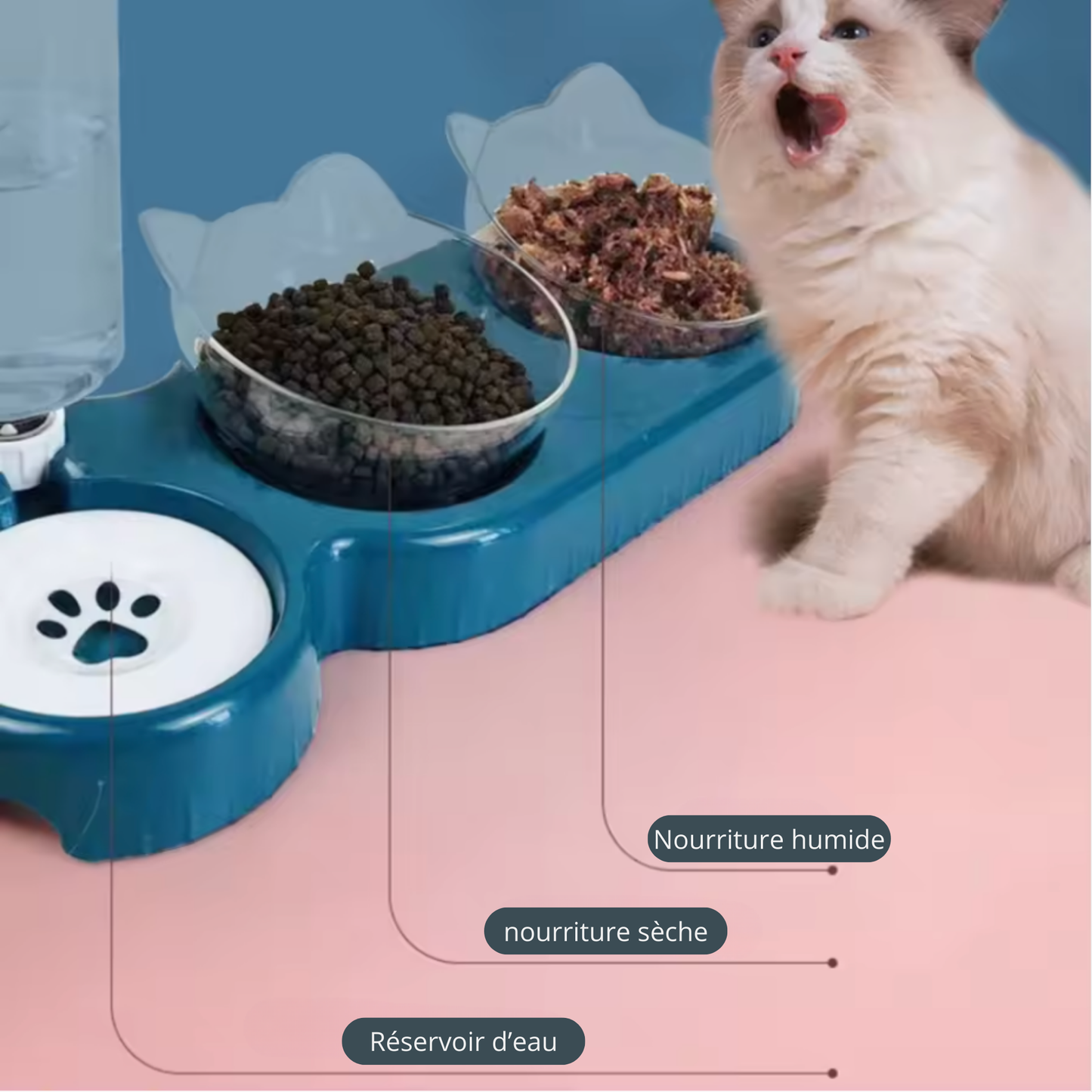 Gamelle chat