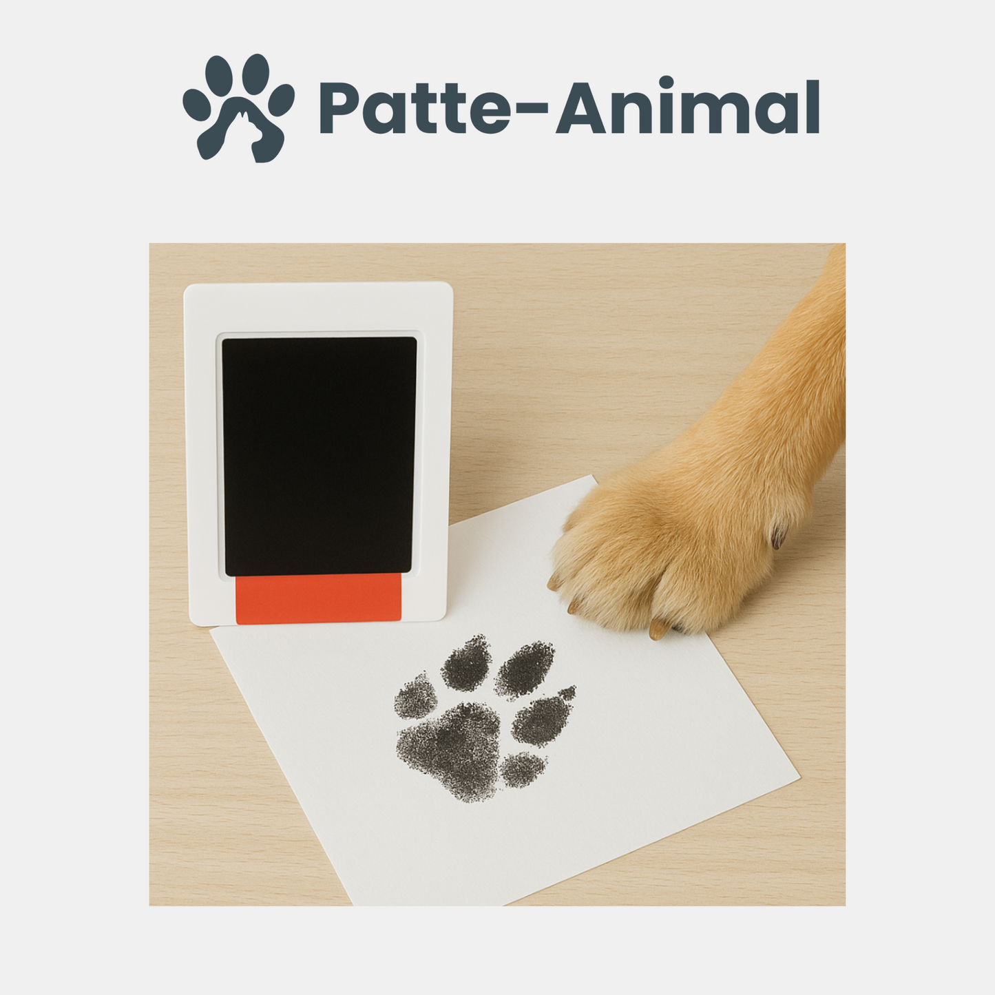 Kit d'empreinte chien et chat
