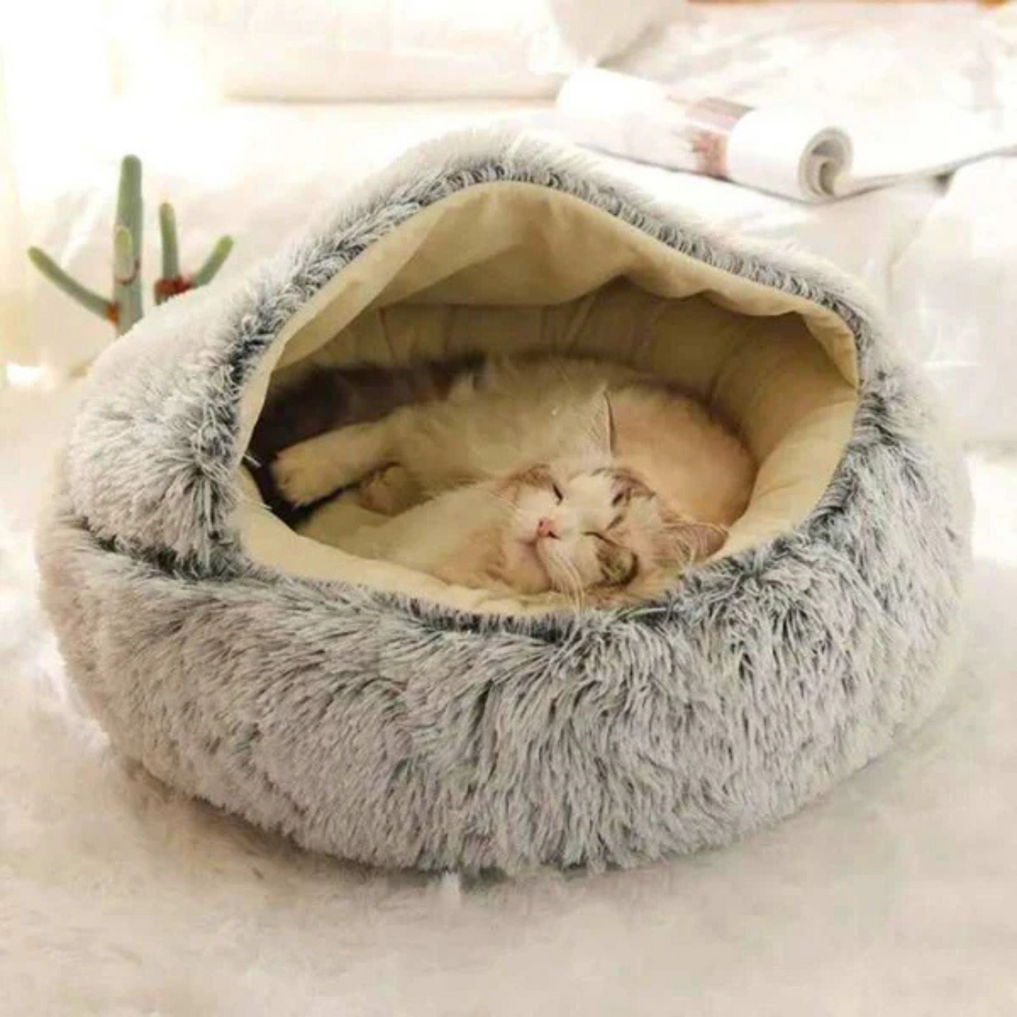 Panier chat