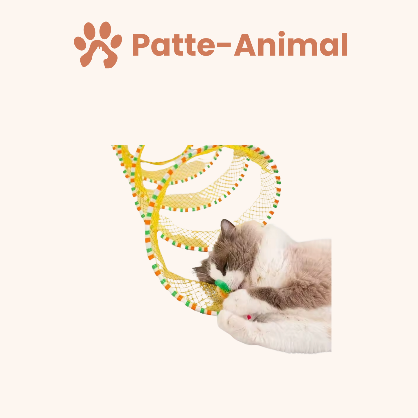 Jouet pour chat - Tunnel pour chat