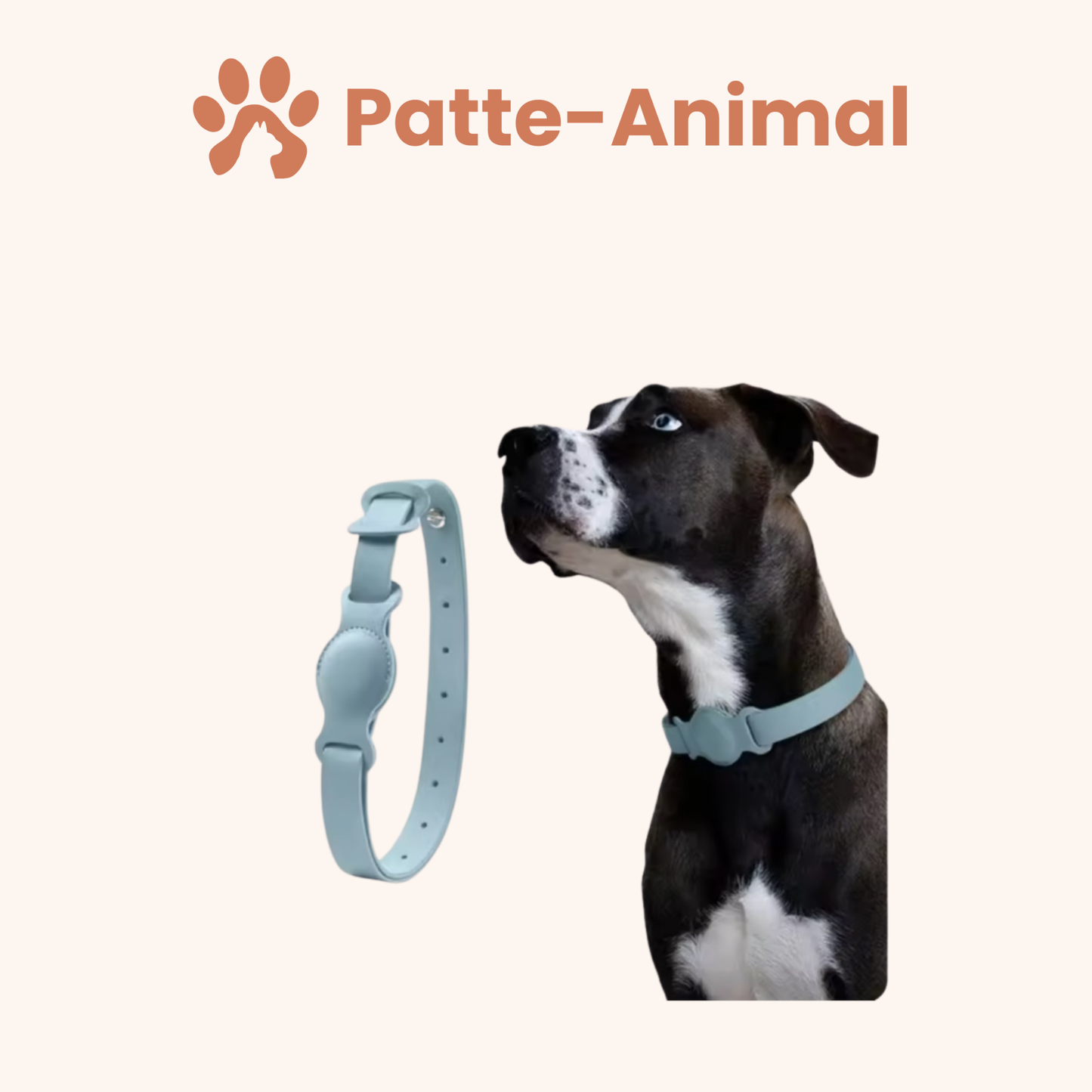 Collier chien Airtag