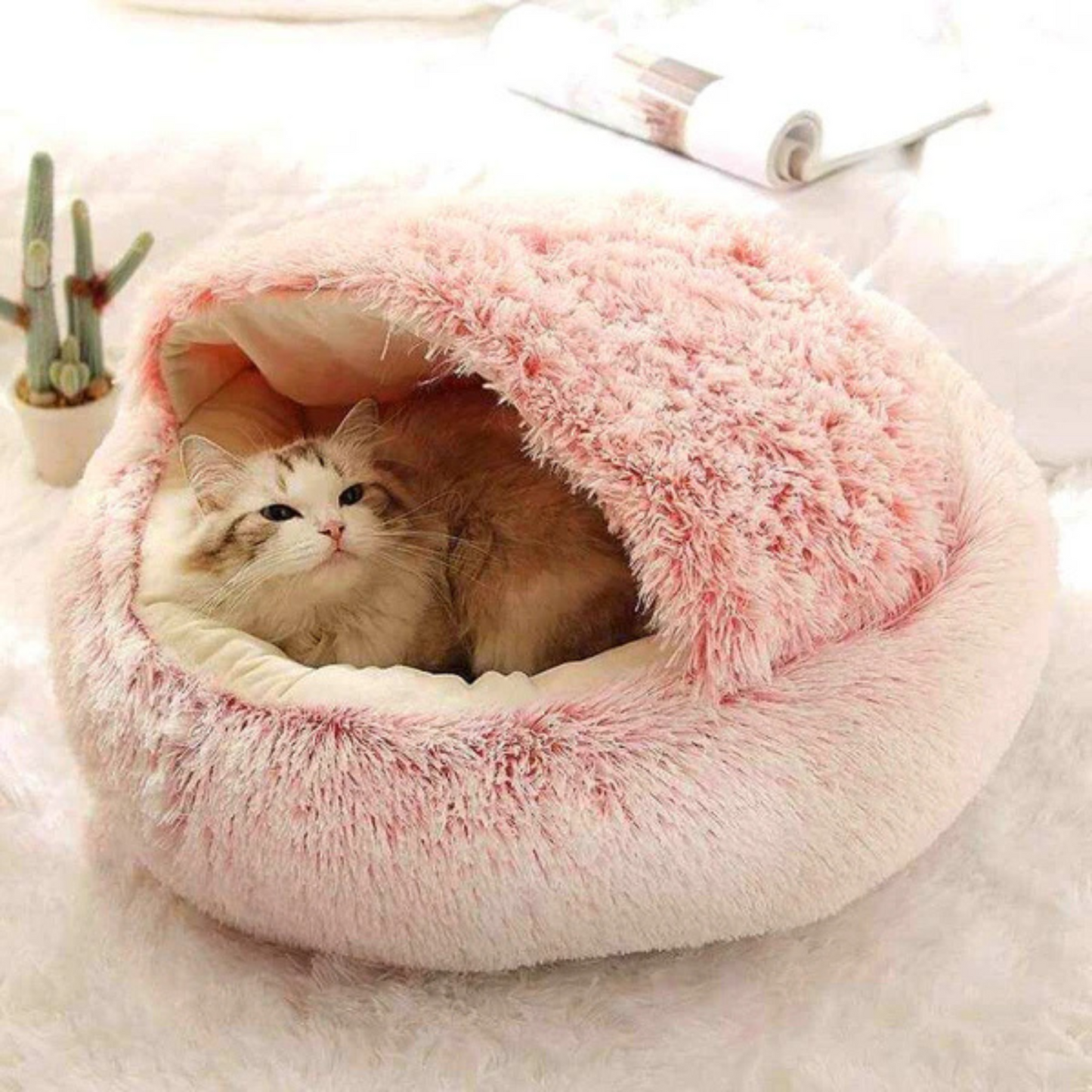 Panier chat