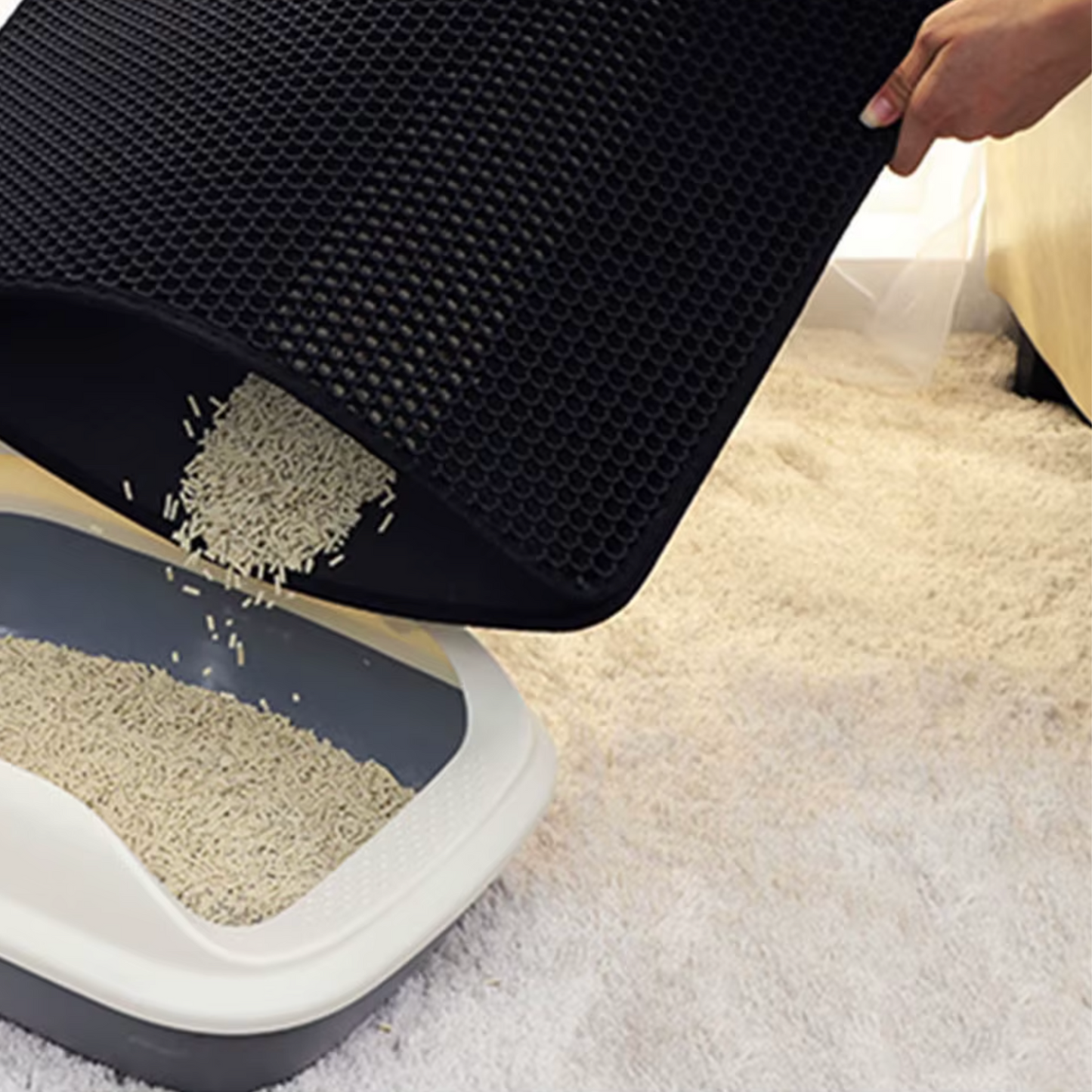 Litière chat - Tapis