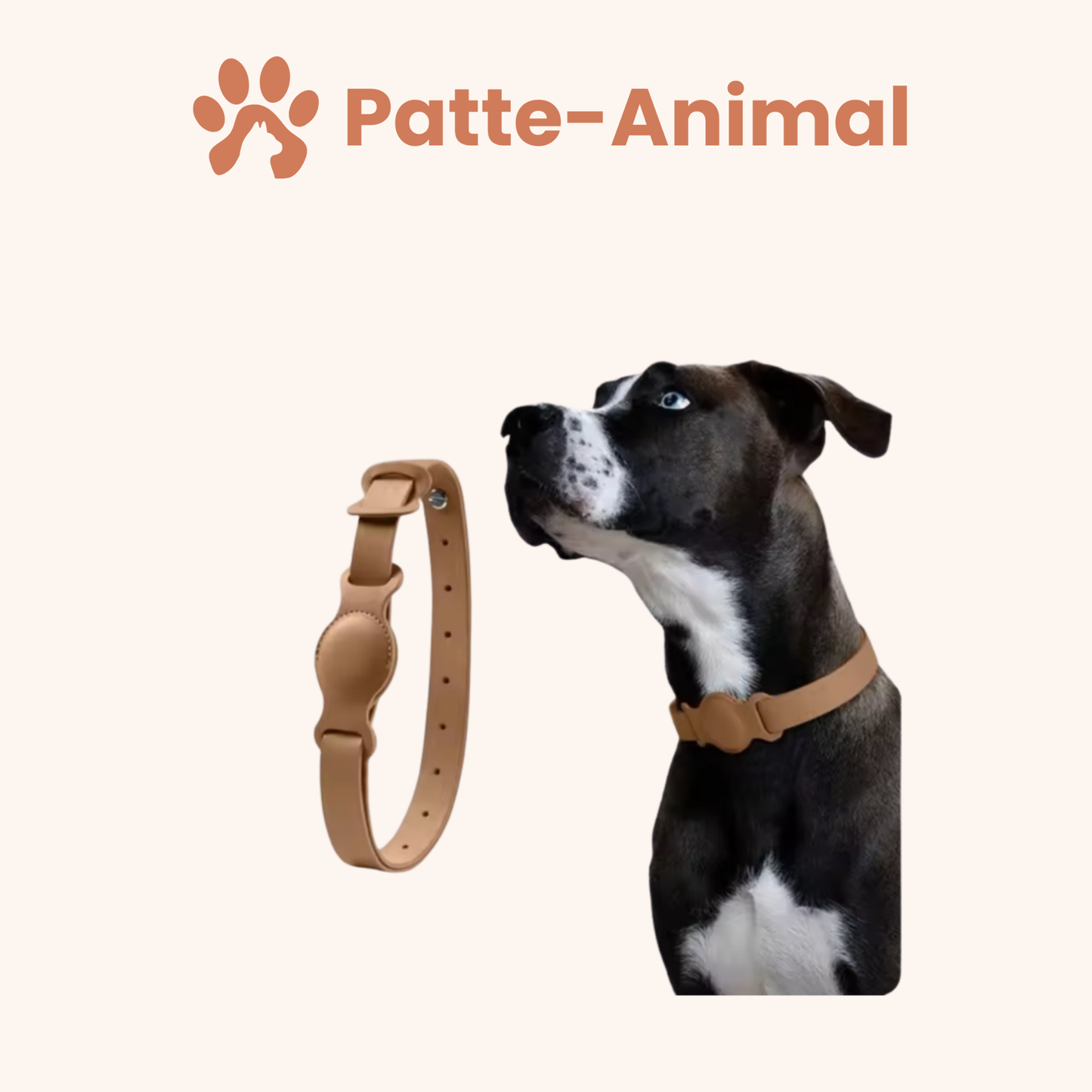 Collier chien Airtag