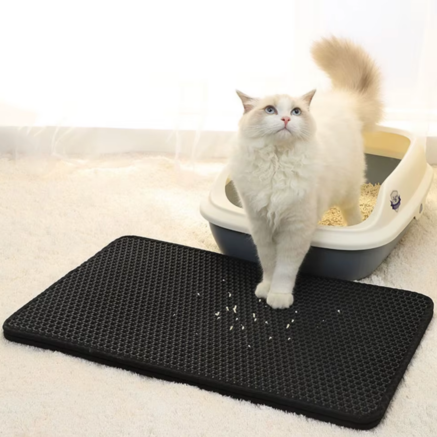 Litière chat - Tapis