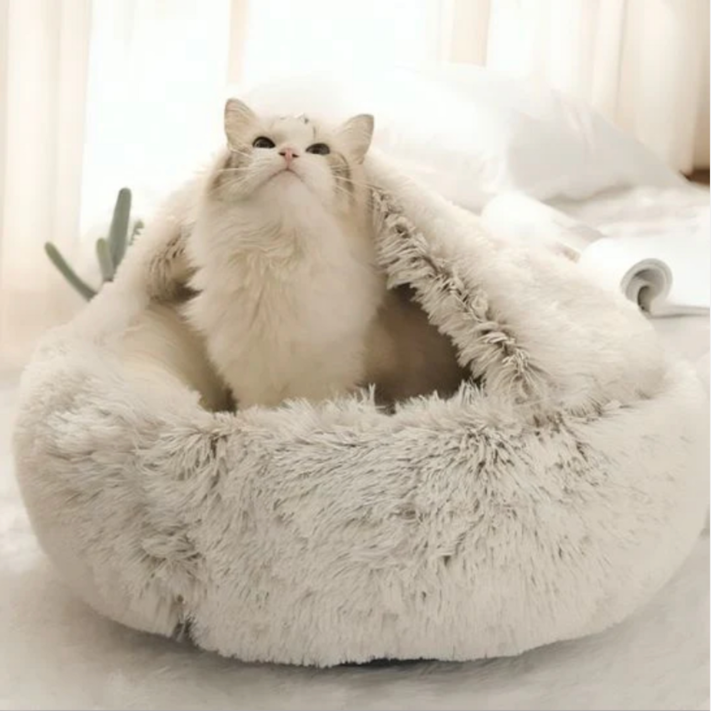 Panier chat