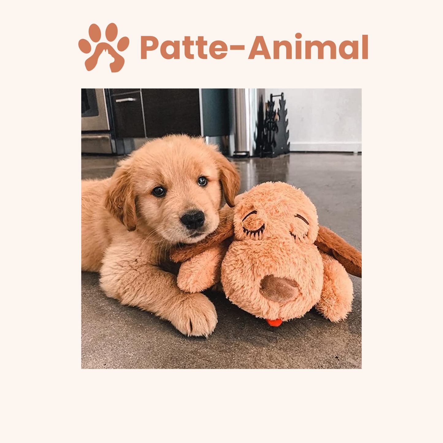 Peluche Apaisante pour Chien