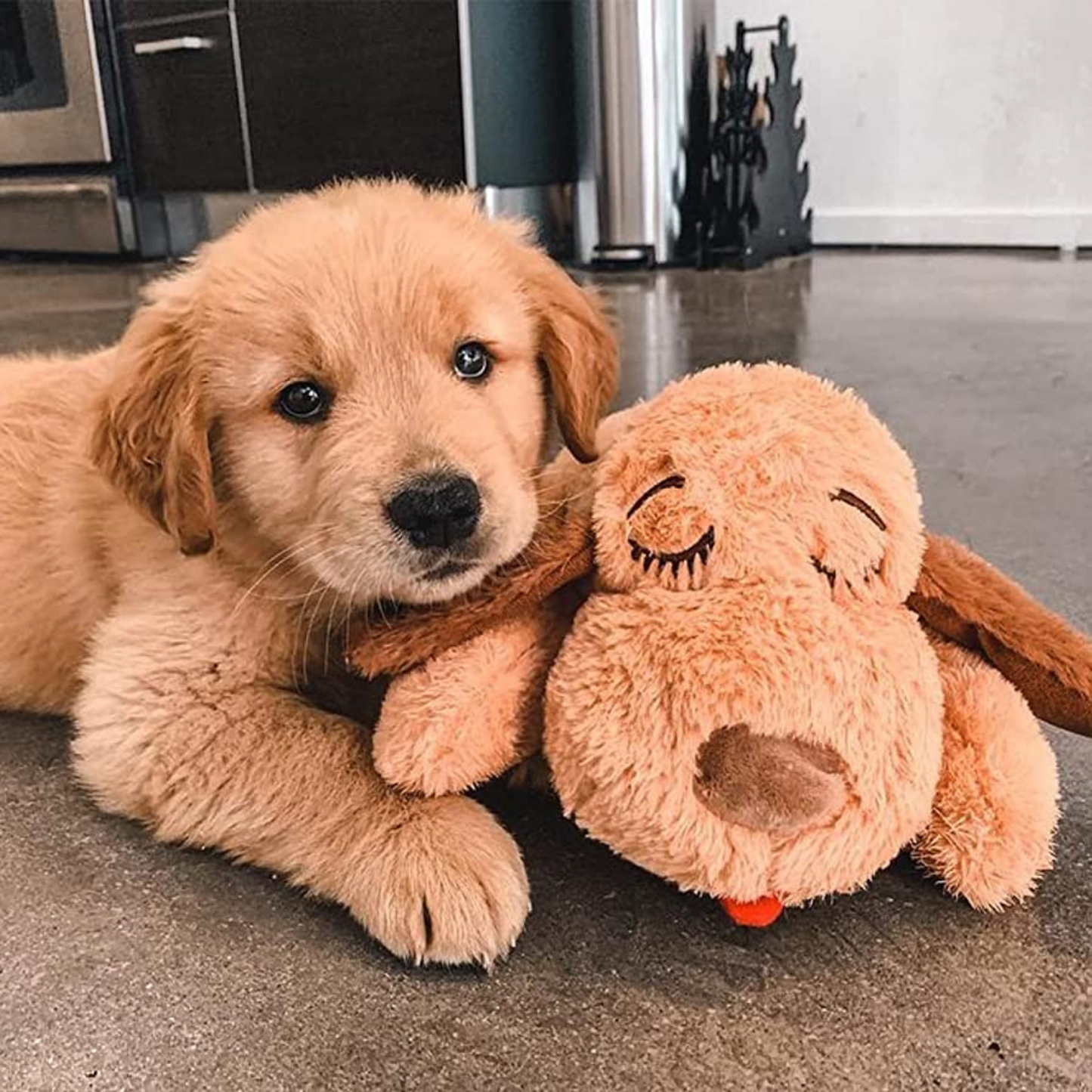 Peluche Apaisante pour Chien