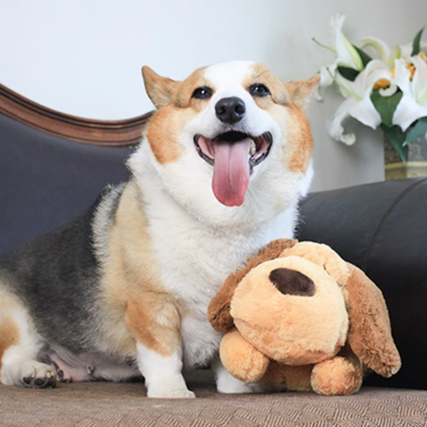Peluche Apaisante pour Chien