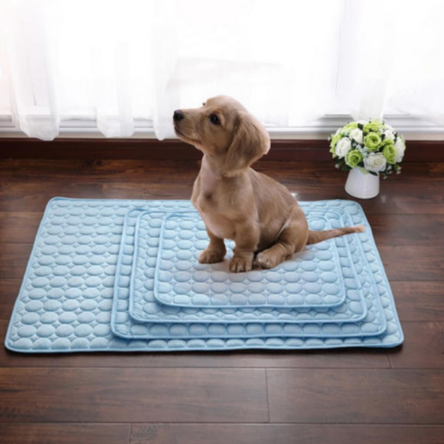 Tapis Rafraîchissant pour Animaux