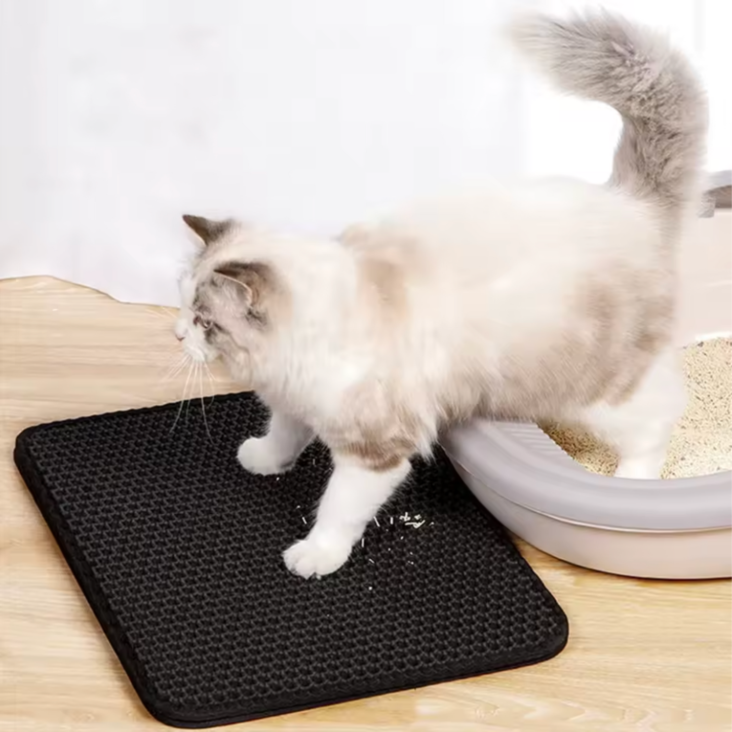 Litière chat - Tapis