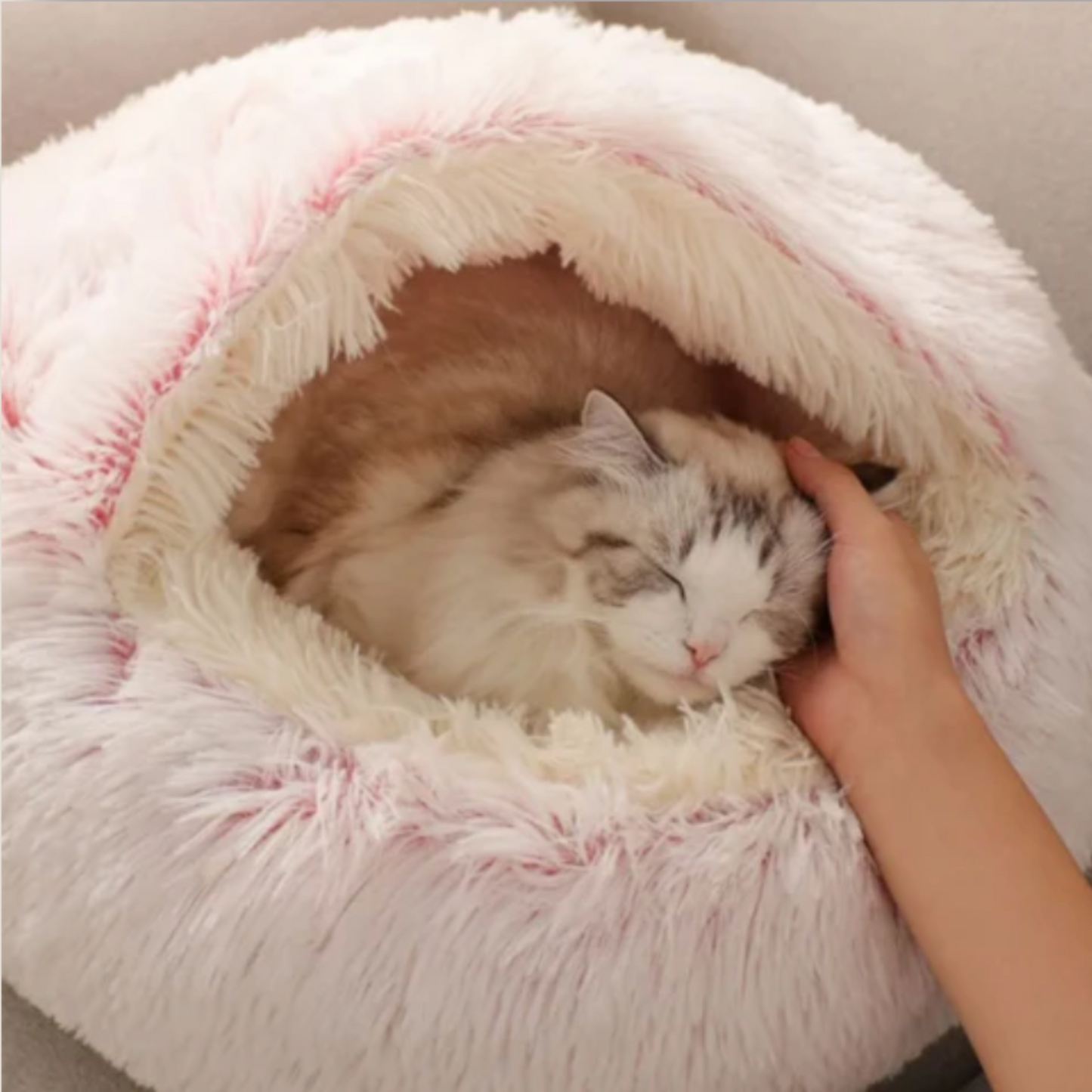 Panier chat