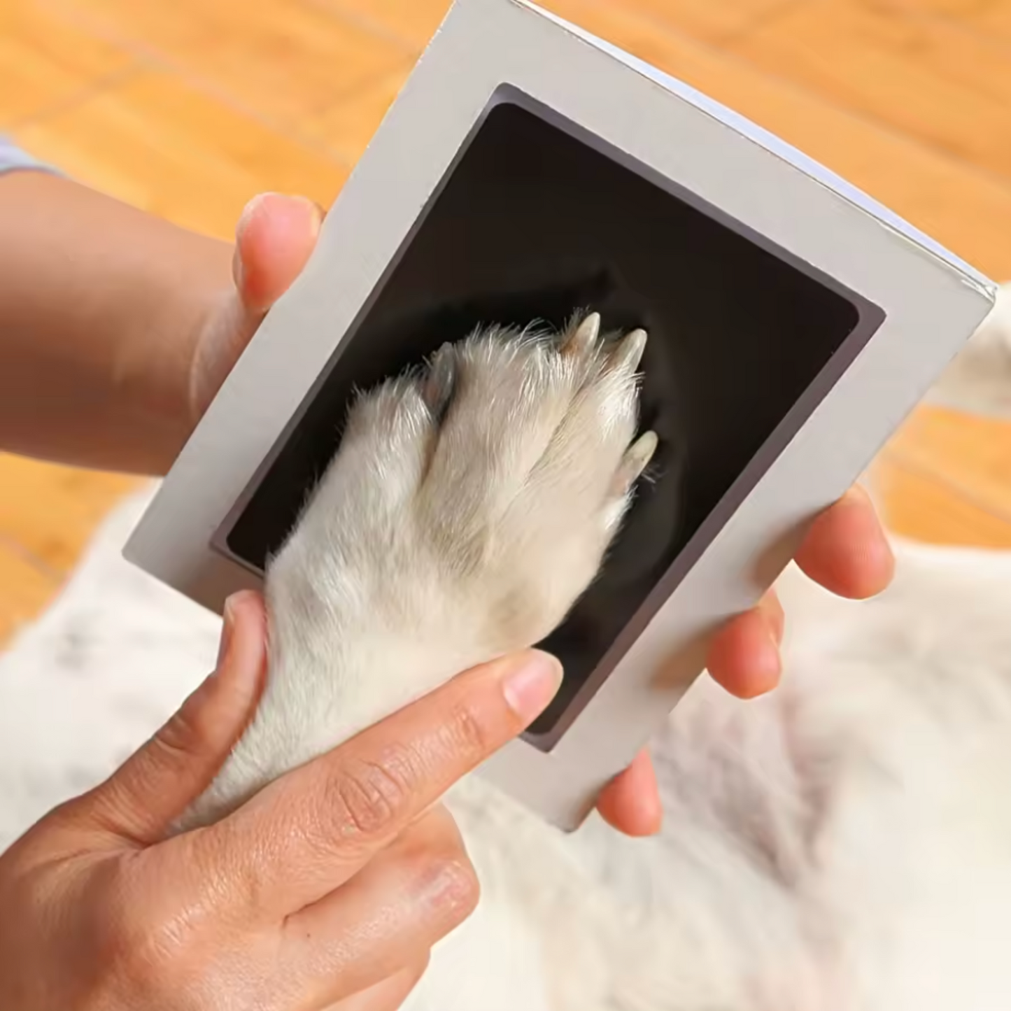 Kit d'empreinte chien et chat