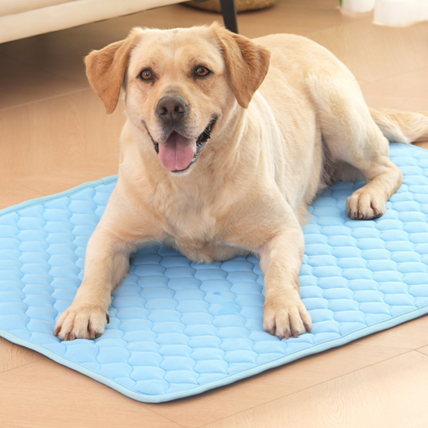 Tapis Rafraîchissant pour Animaux