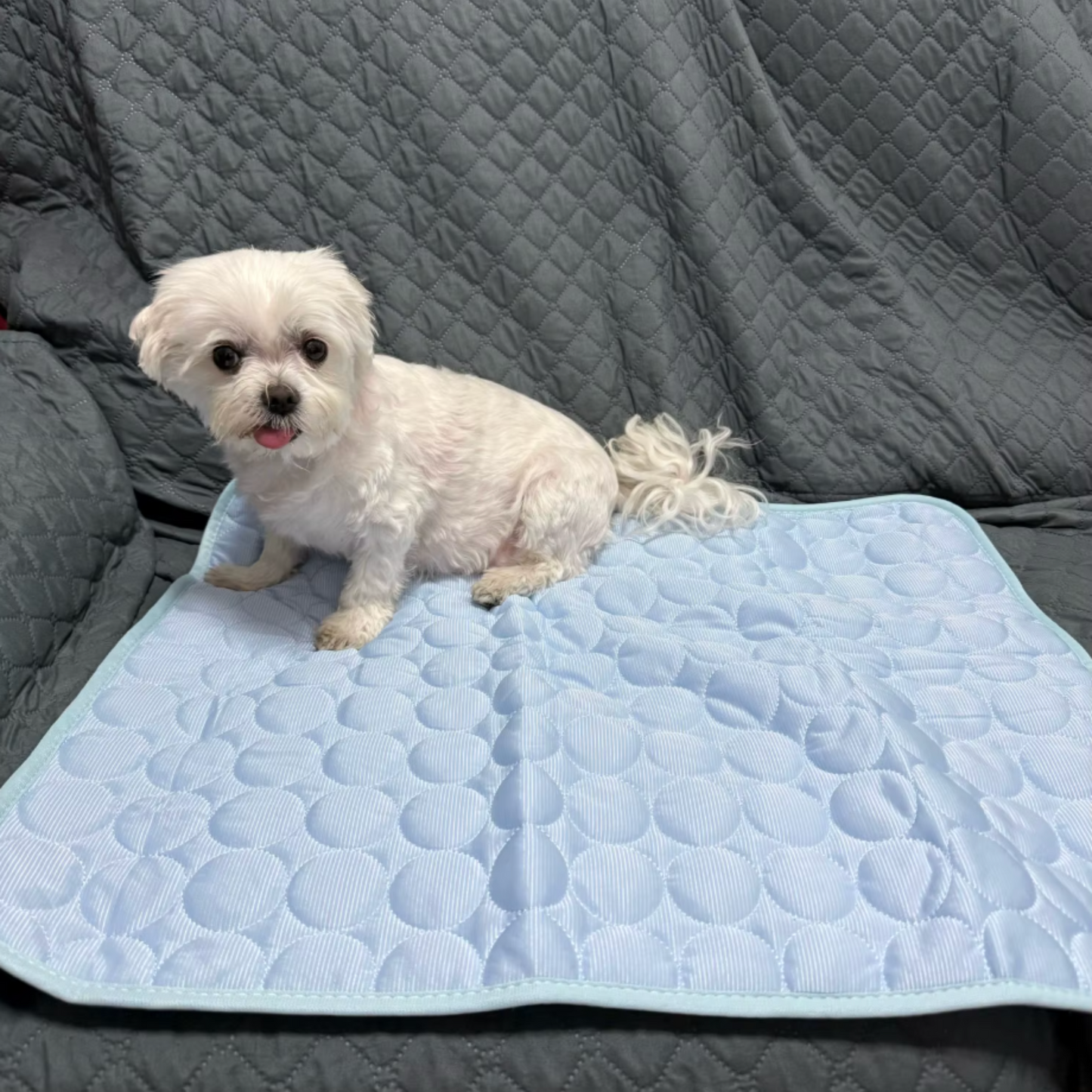 Tapis Rafraîchissant pour Animaux