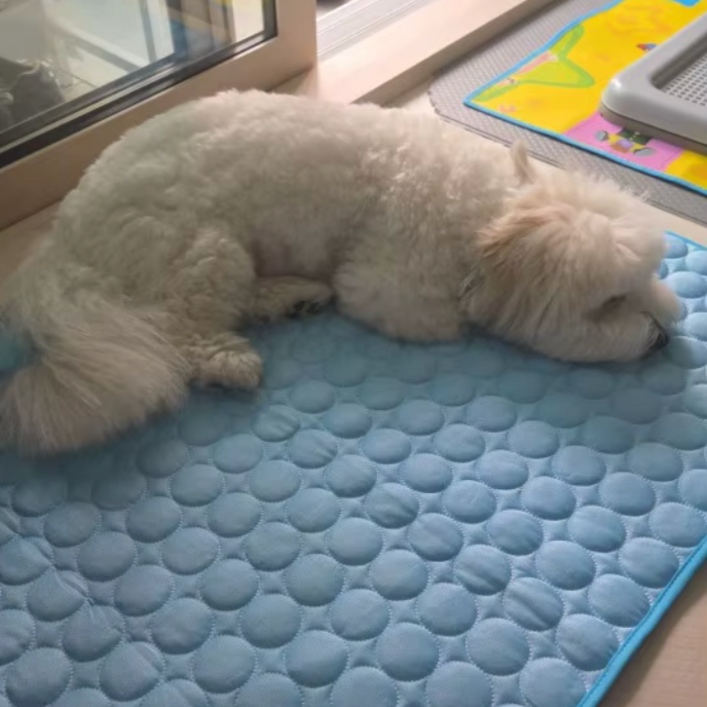 Tapis Rafraîchissant pour Animaux