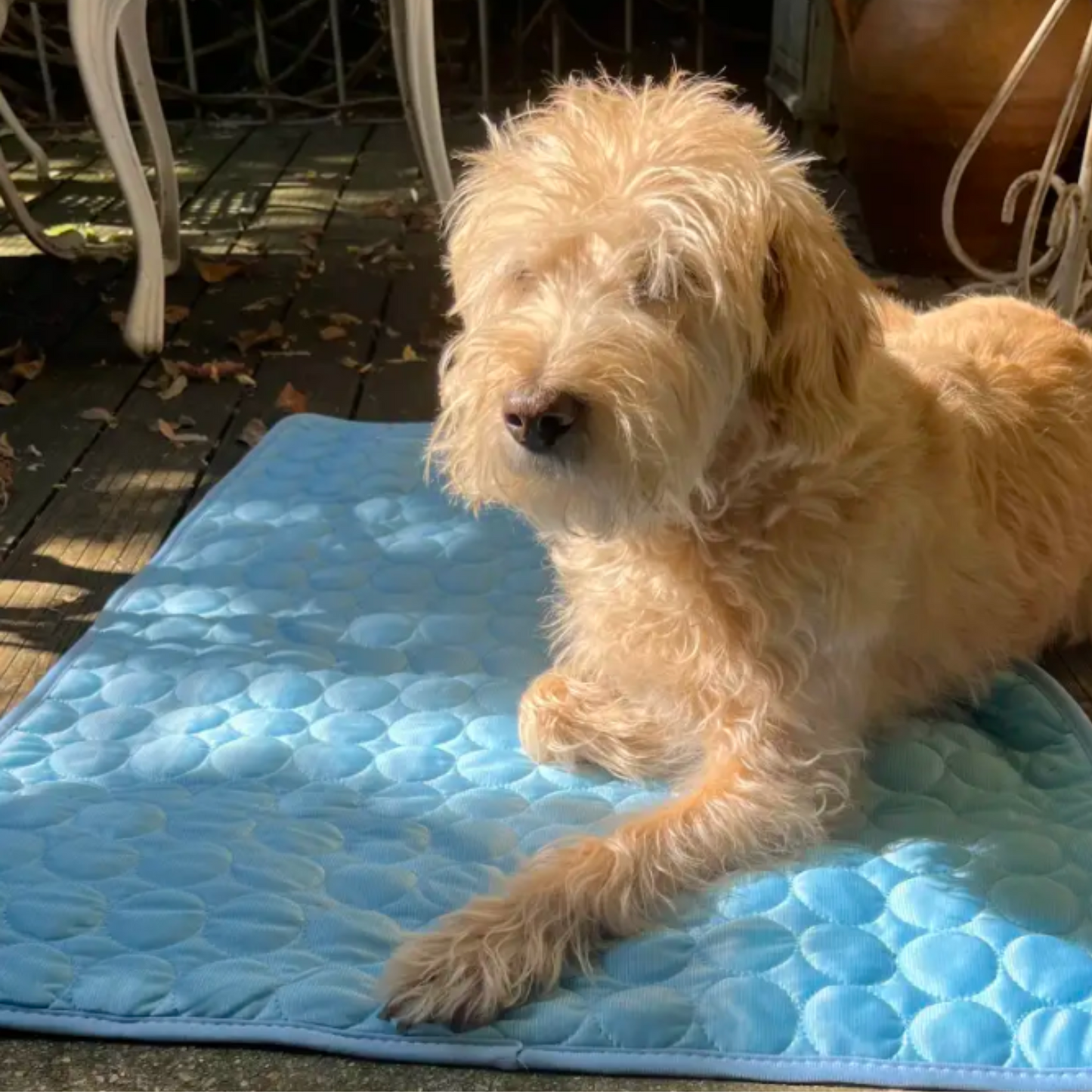 Tapis Rafraîchissant pour Animaux
