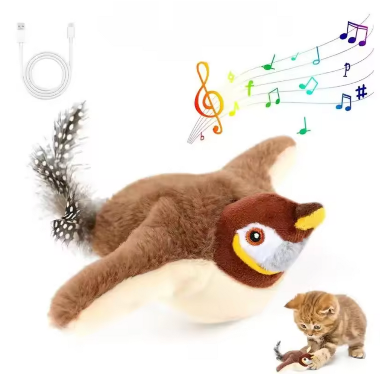 Jouet Oiseau pour Chat