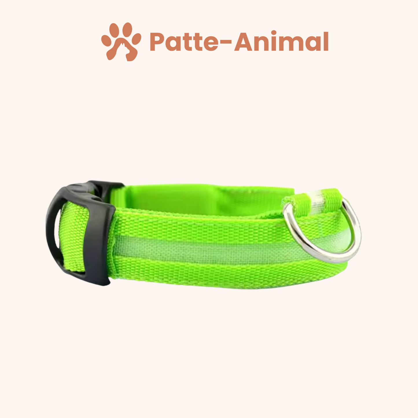 Collier Lumineux chien