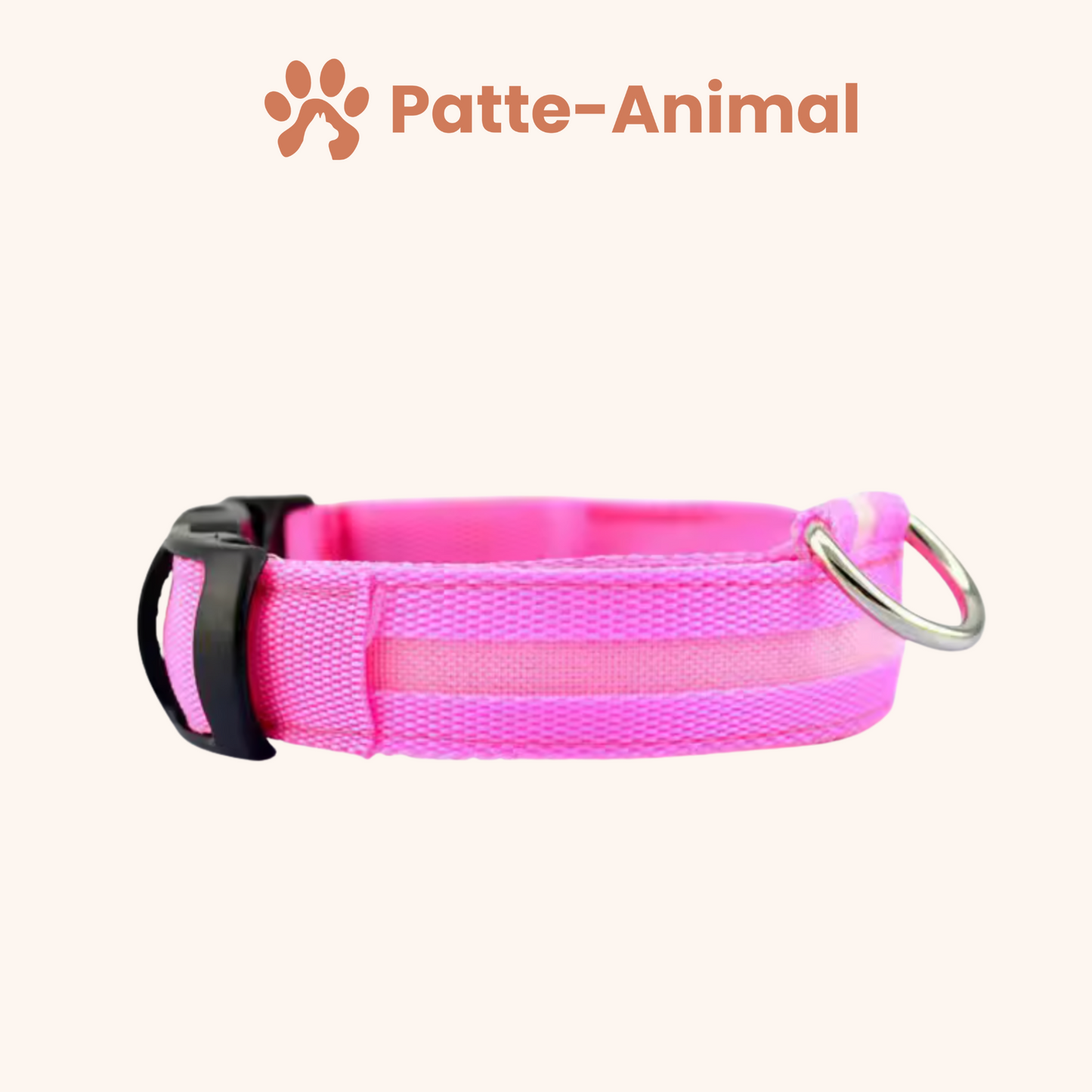 Collier Lumineux chien