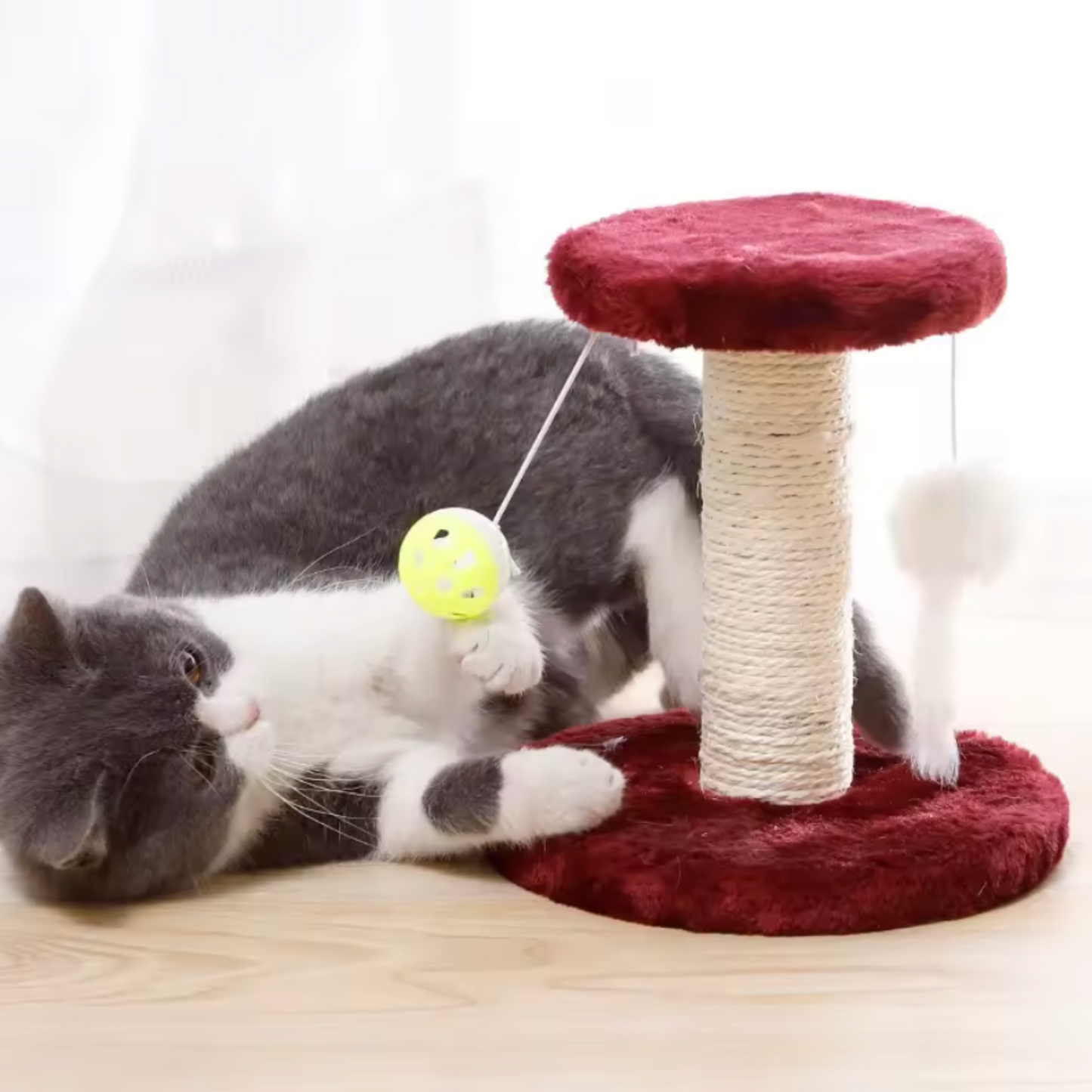 Arbre a chat