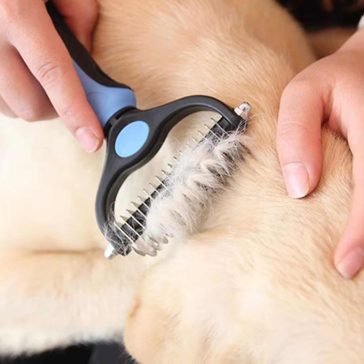 Brosse anti poil