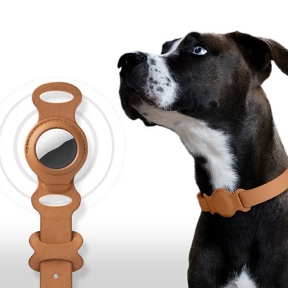 Collier chien Airtag