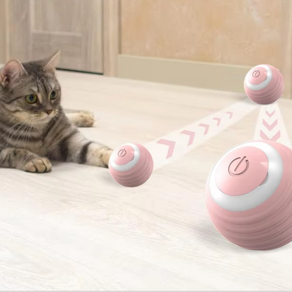 Jouet pour chat - Balle interactive