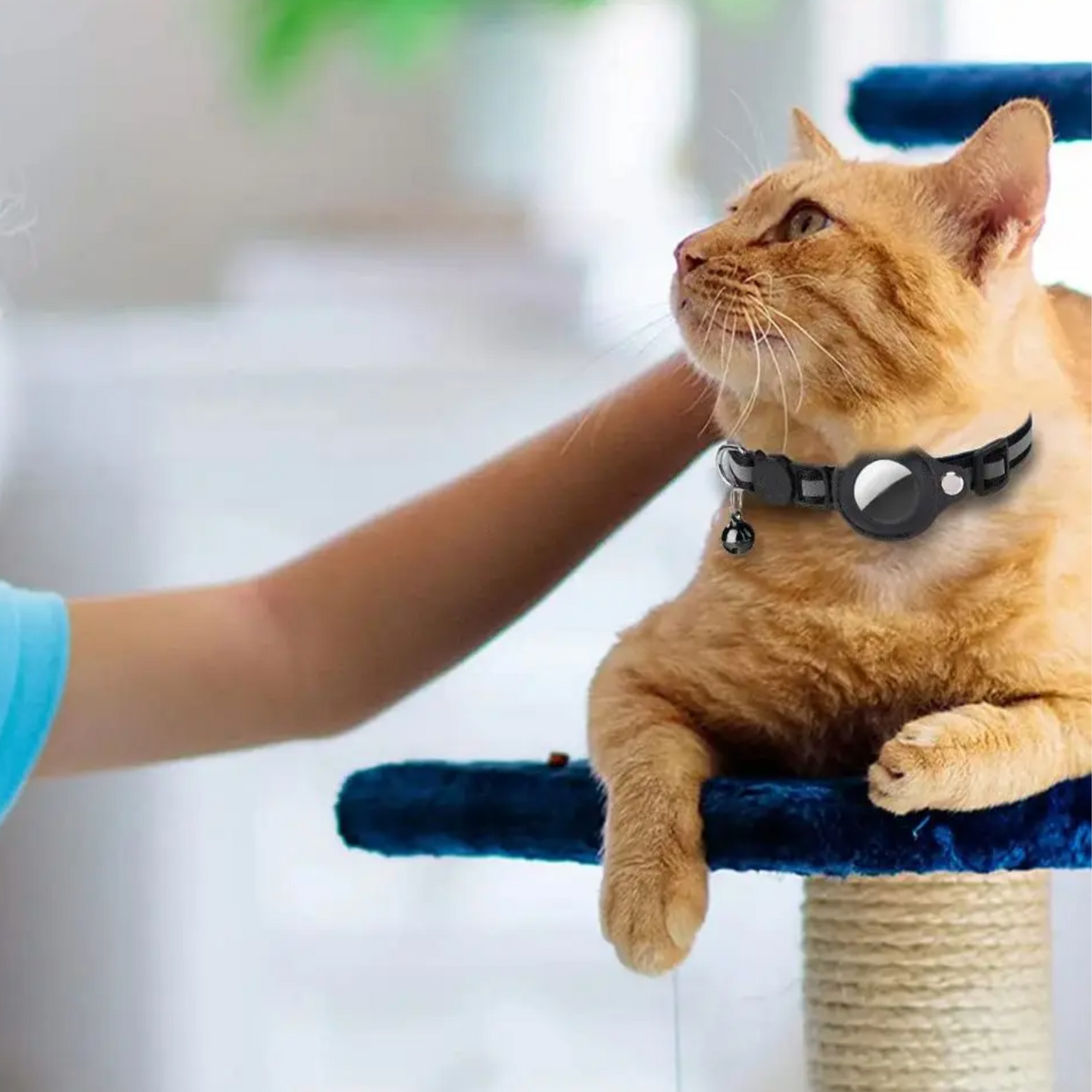 Collier gps chat