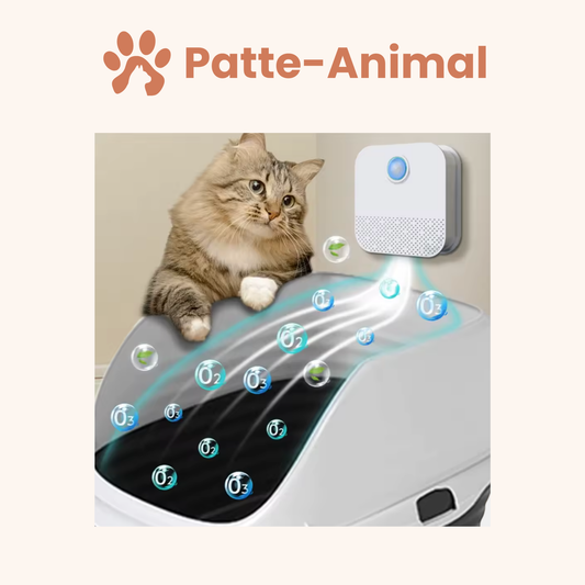 Purificateur d'air