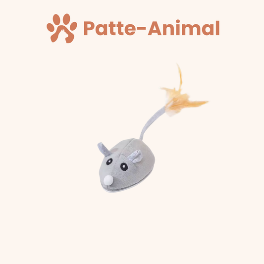 Jouet pour chat - Souris