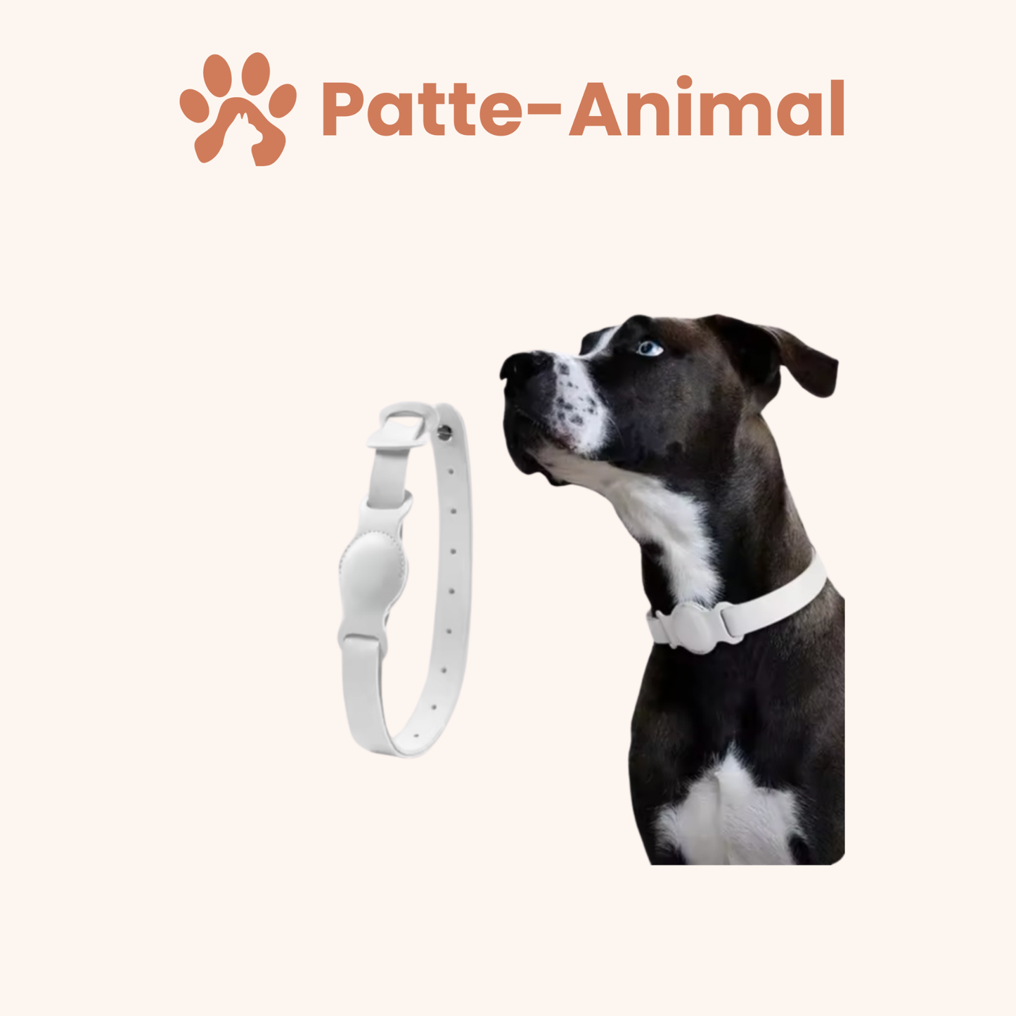 Collier chien Airtag