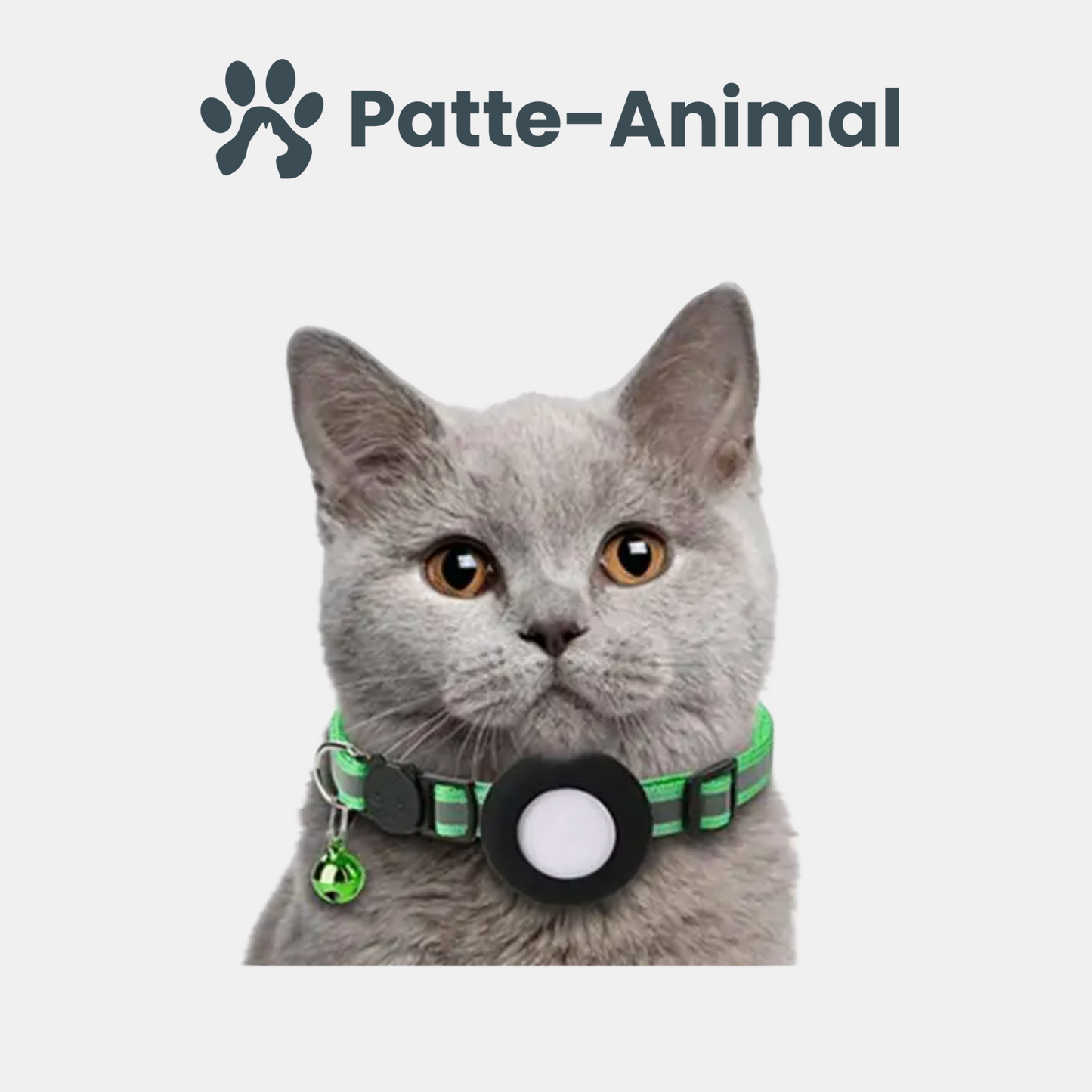 Collier gps chat