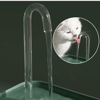 Fontaine a eau chat