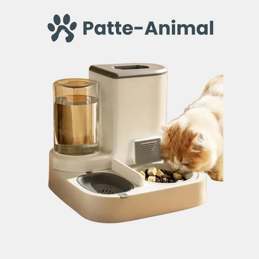 distributeur de croquettes pour chat