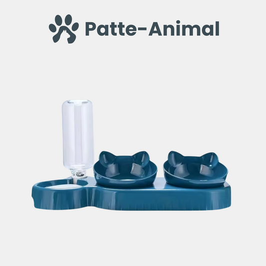 Gamelle chat