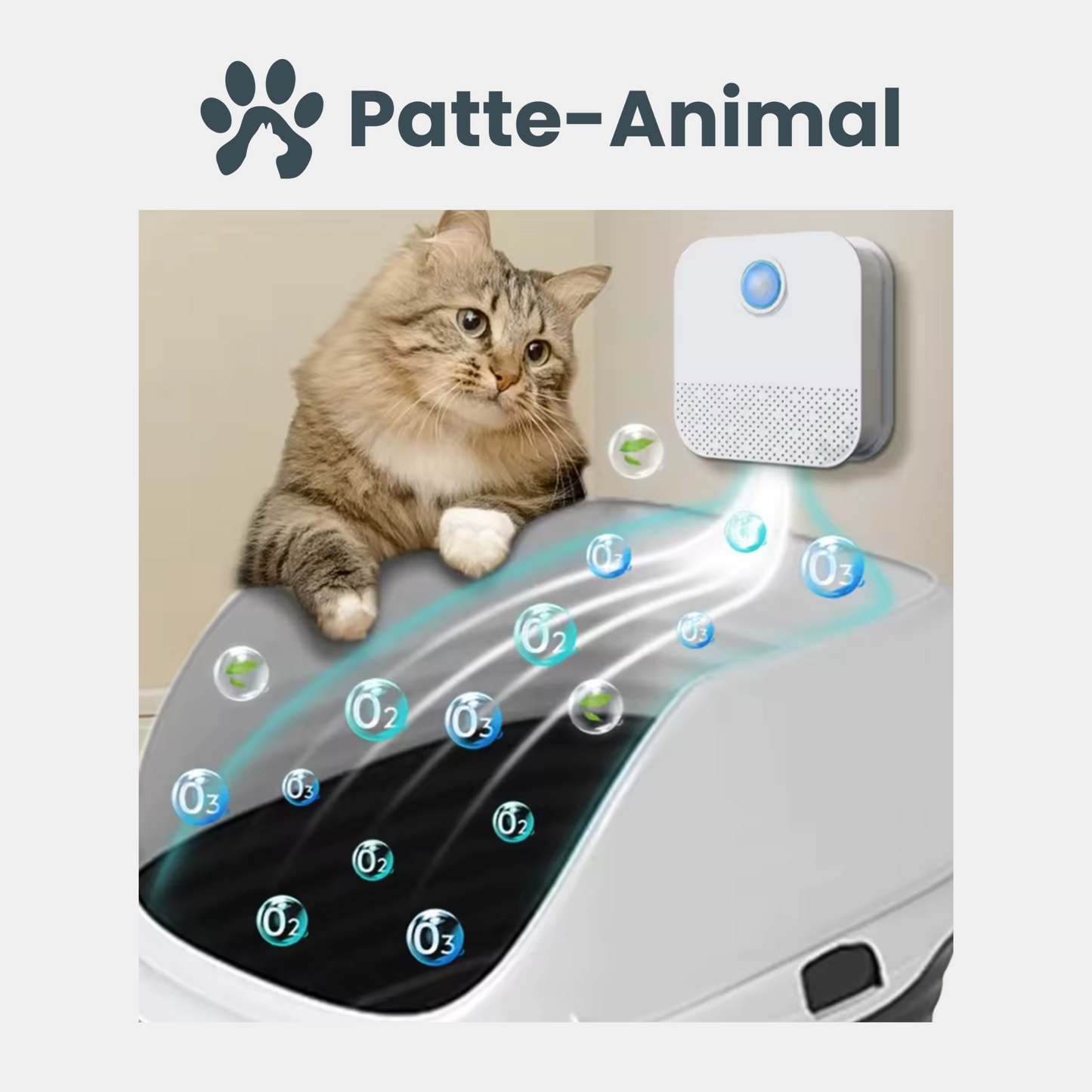 Purificateur d'air
