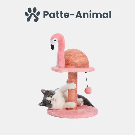 Arbre a chat