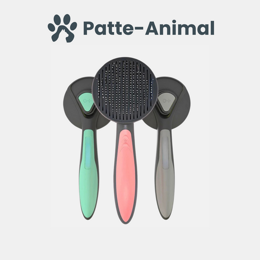 Brosse pour chat