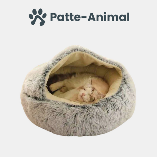 Panier chat