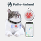 Collier gps chat