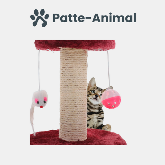 Arbre a chat