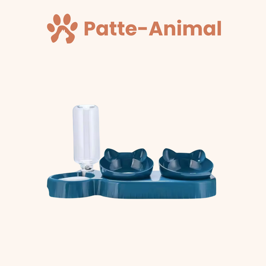 Gamelle chat