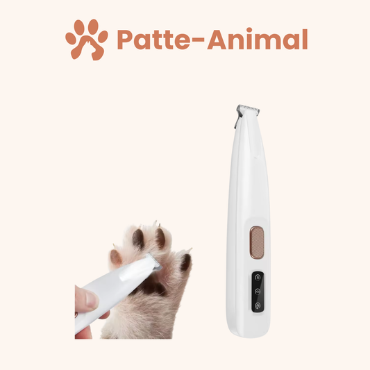 Tondeuse chien et chat