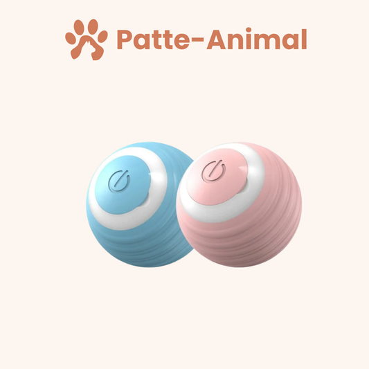Jouet pour chat - Balle interactive
